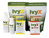 Ivy X Pre Post - Combo - 1.png
